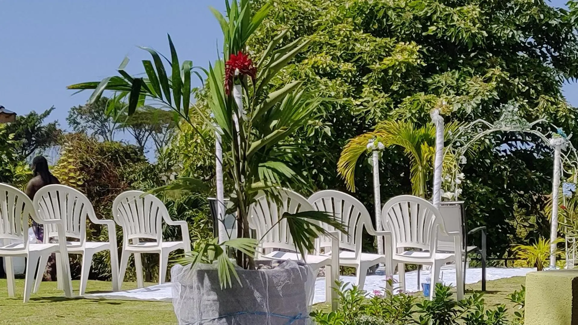 Destiny Palms Apt Belleair 0*,  Jamaica